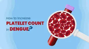 Supporting Dengue Recovery with Tablet Follicare: The Power of L-Methylfolate